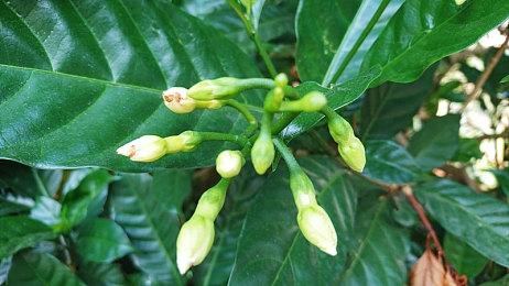 《巫师3》功能MOD：将前两部作品玩法加入其中