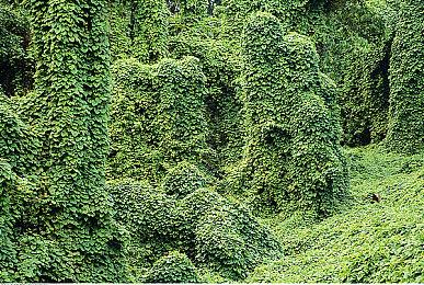 世嘉：《索尼克：超级巨星》销量不佳与《马里奥惊奇》撞车有关