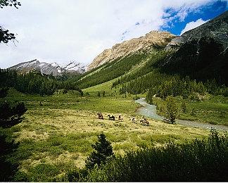 米哈游《崩坏3》今日正式上线Steam 推荐配置1060显卡